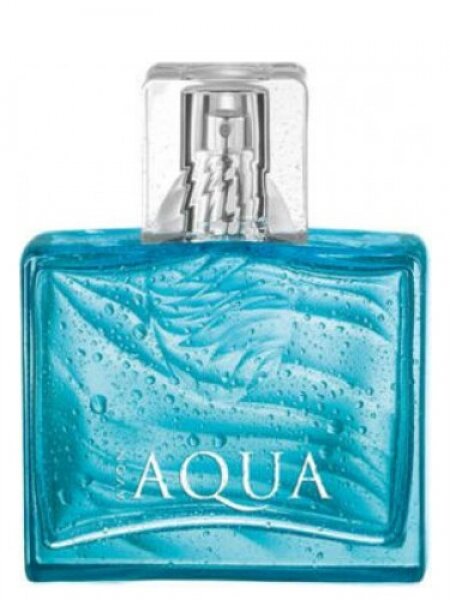 Avon Aqua for Him EDT 75 ml Erkek Parfümü kullananlar yorumlar